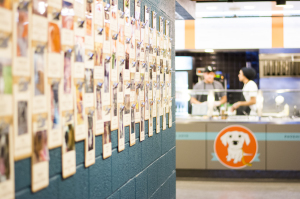 The interior wall is decorated with pictures of local families' dogs. Each week, a feature hotdog is named after one of them.