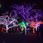 zoolights-arizona-magical-holiday-giveaway