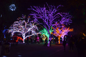 zoolights-arizona-magical-holiday-giveaway