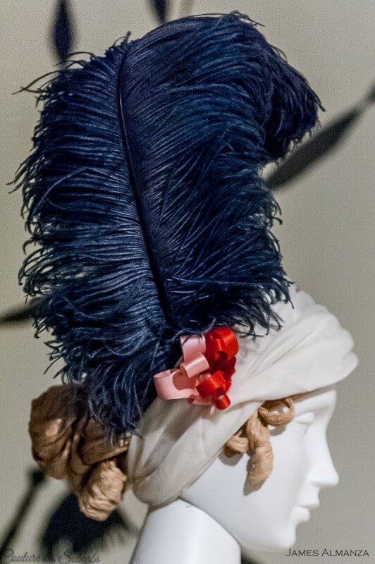 feather headress phoenix art museum almanza photography