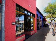 A Day on Fourth Avenue in Tucson