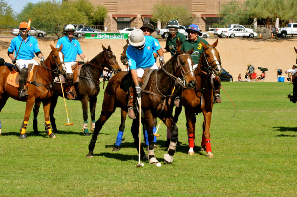 Horses Horsepower & Fashion - Couture In The Suburbs